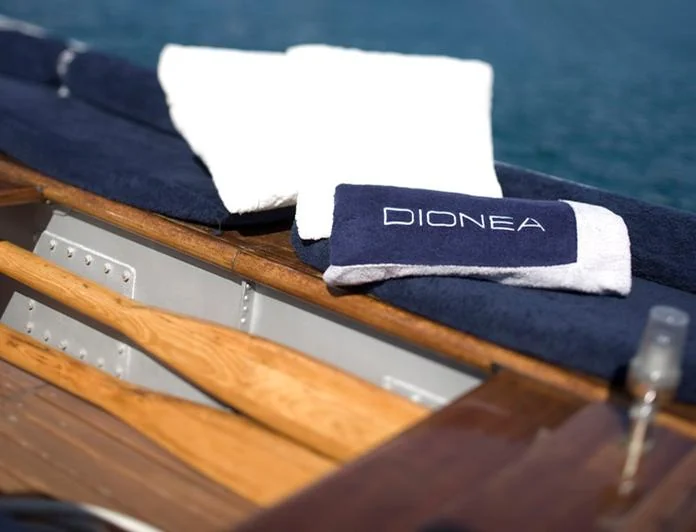 DIONEA - photo 11, DIONEA yacht charter