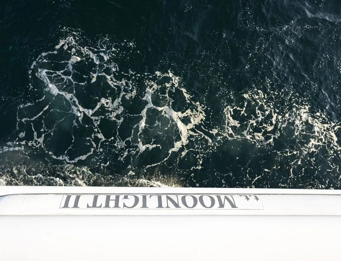 MOONLIGHT II - photo 10, MOONLIGHT II yacht charter