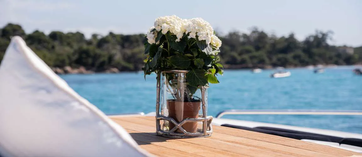 Palumba - photo 15 yacht charter Cannes