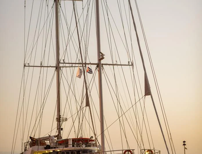 PAN ORAMA II - photo 5, PAN ORAMA II yacht charter